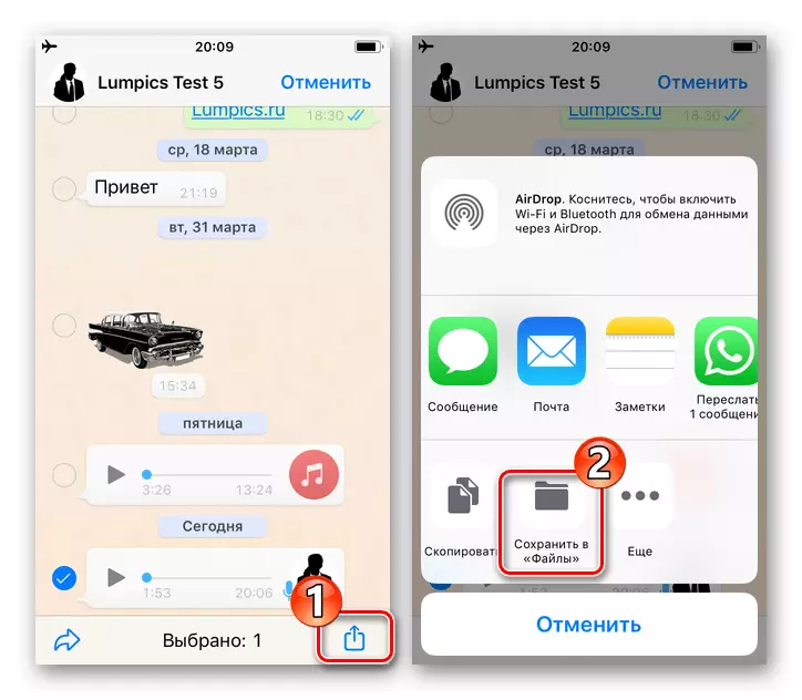 WhatsApp for iOS調用菜單調用適用於聊天的音頻記錄，項目保存到文件