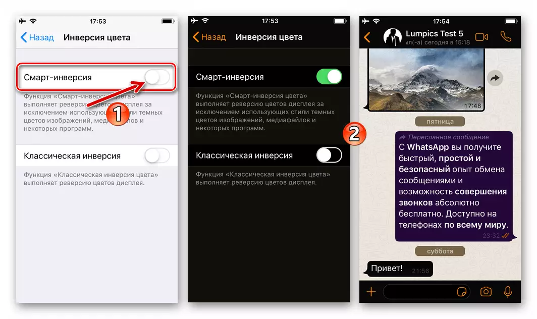 WhatsApp voor iPhone - activering van slimme inversie in iOS en het effect van het gebruik ervan in Messenger