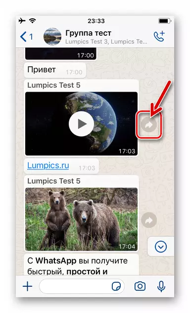 WhatsApp para o elemento da interface de iPhone que chama a función para enviar a pantalla de chat