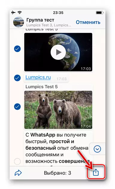 Whatsapp για το iPhone εικονίδιο Μοιραστείτε στην συνομιλία οθόνη με ειδικό μηνύματα