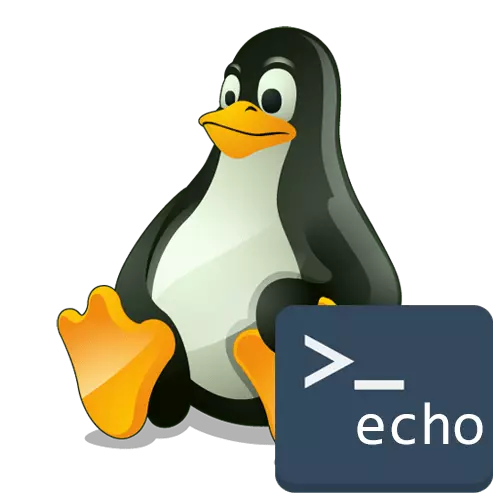 Echo tim u Linuxu