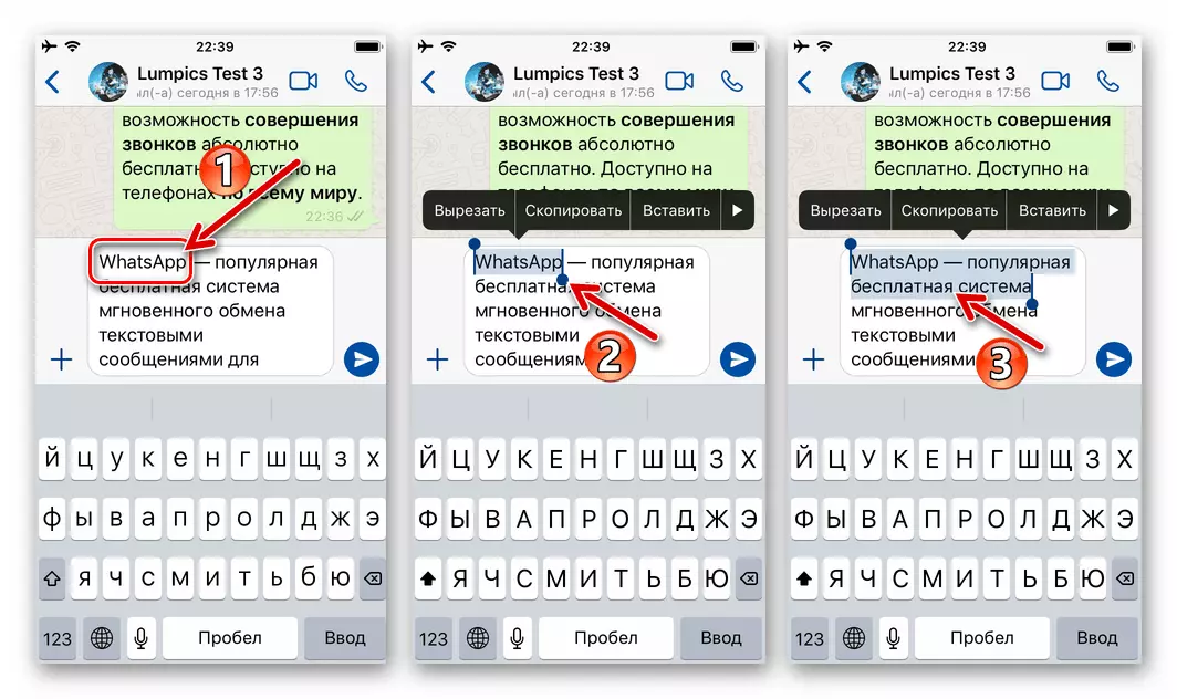 WhatsApp per iOS Selecció de el fragment de text en un missatge generat per aplicar el format d'Afers Exteriors