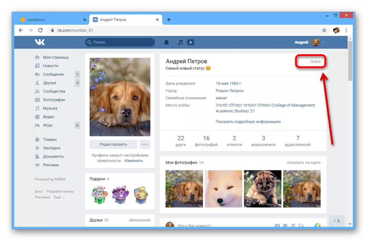 Eksempelside med status online på Vkontakte hjemmeside
