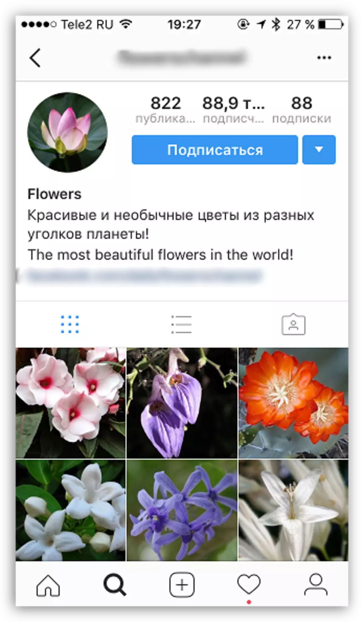Izvēloties tēmu profila Instagram