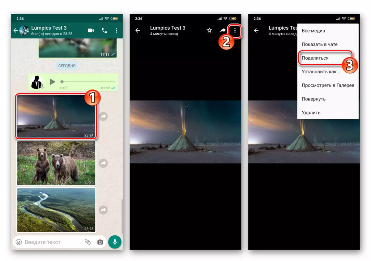 WhatsApp pour Android Calling Fonctions Partager du mode FullScreen View