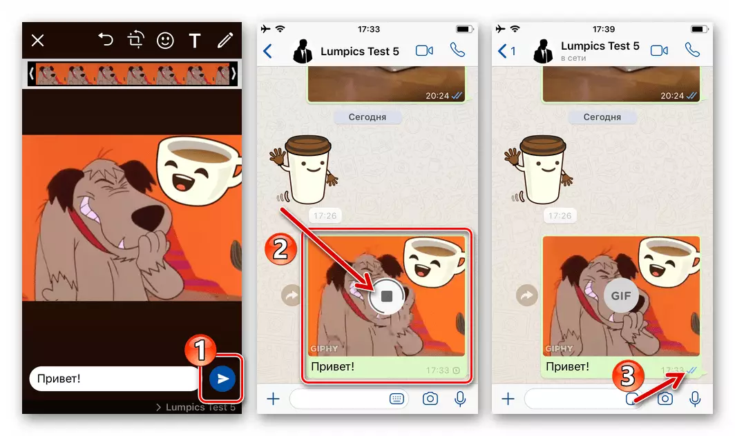 WhatsApp pre iOS odosielanie GIF z adresára Messenger na príjemcu