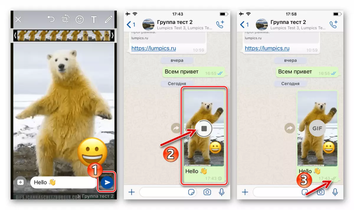 WhatsApp para o proceso de iOS de enviar gifs do repositorio do iPhone en chat ou grupo
