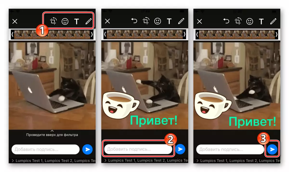WhatsApp para iOS enviando GIF: agregue efectos y firma - Enviar al chat