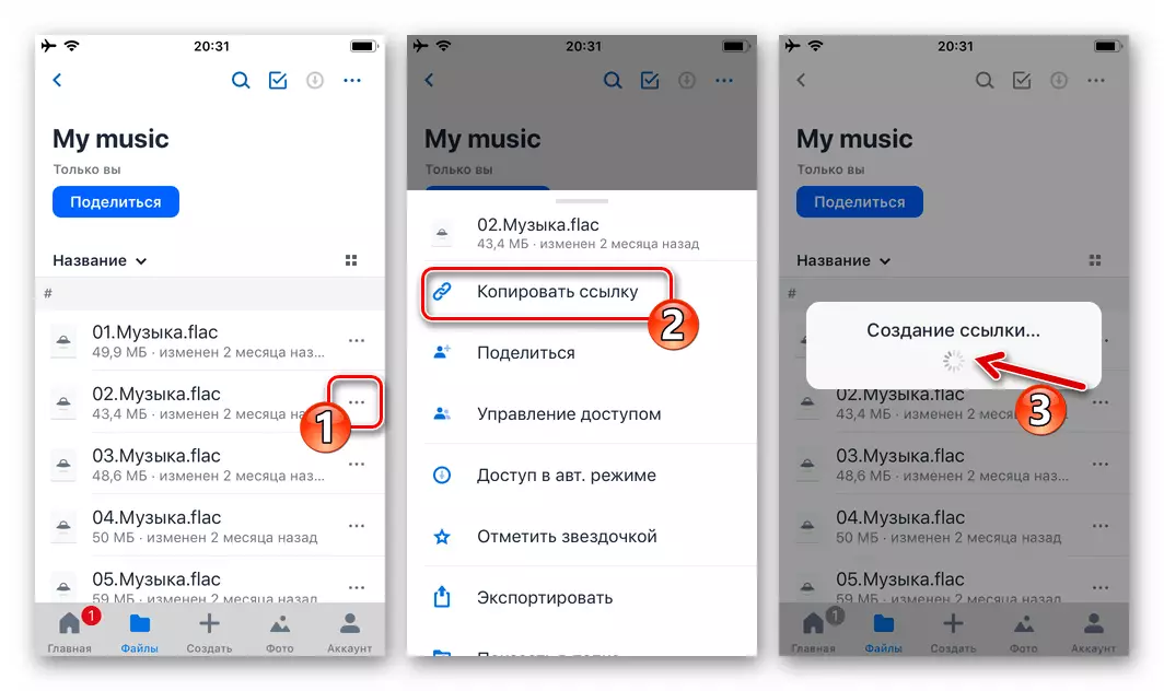 WhatsApp för iPhone Dropbox Kalla ljudfilen menyn lagras i förvaret - Kopiera länken