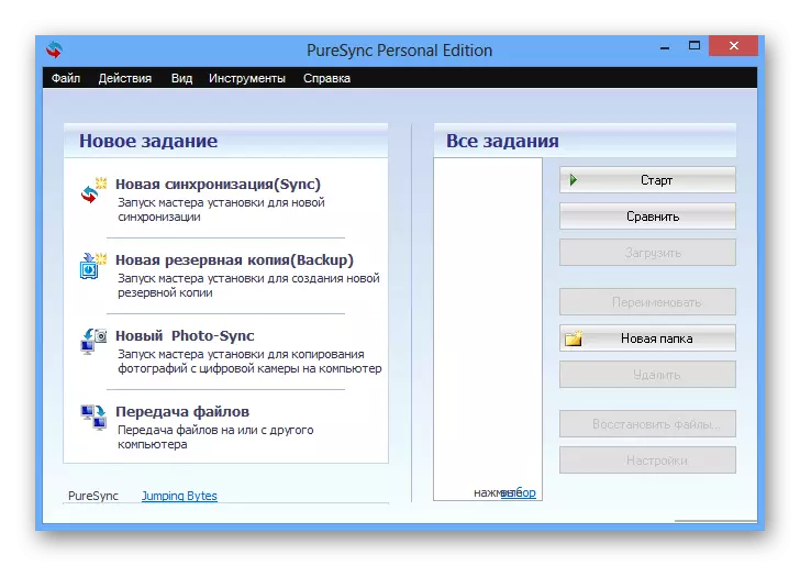 Interface Program Puresync.