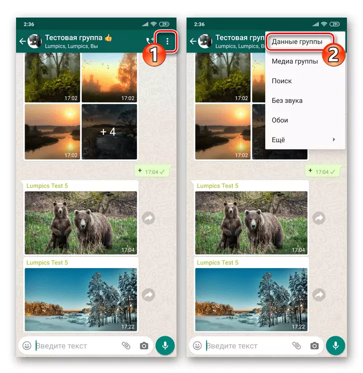 WhatsApp para Android - Datos de la pantalla de la pantalla de llamadas o la vista de contacto de chat