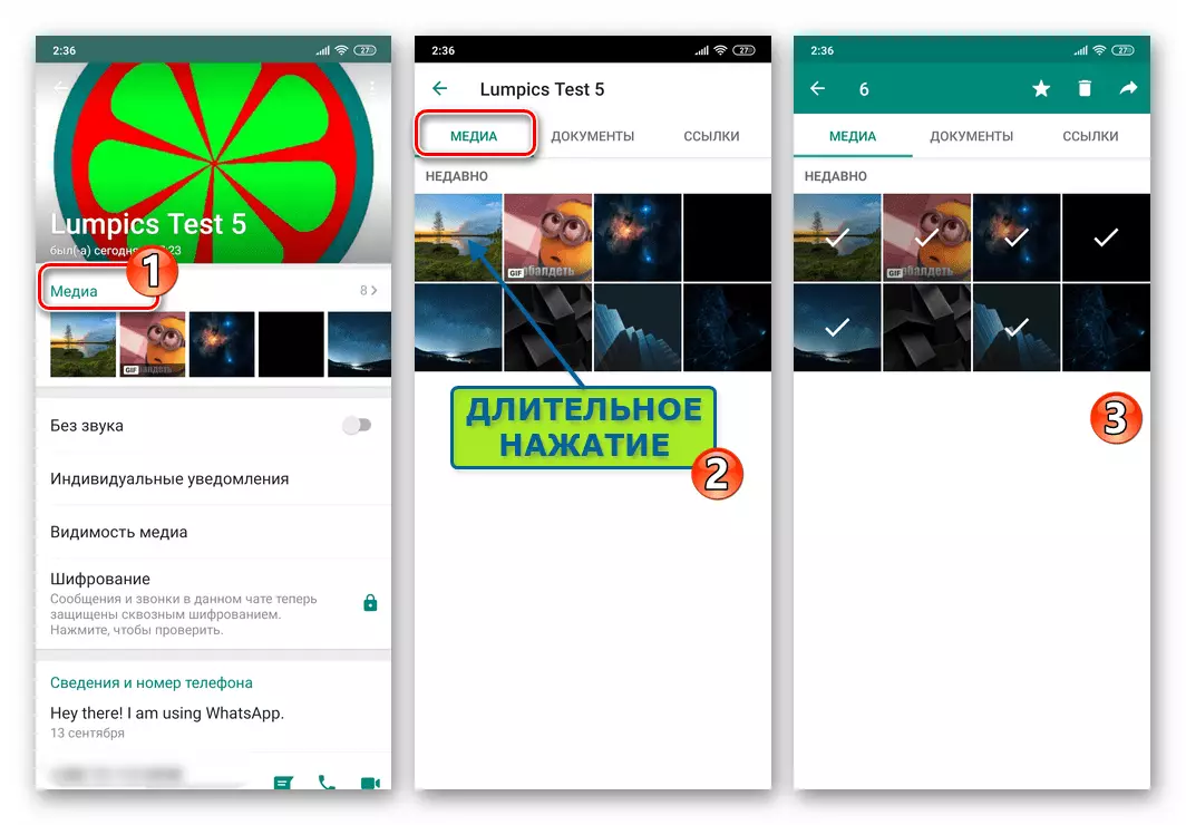 WhatsApp untuk Android pergi ke bahagian media dari tetapan sembang, pilihan foto yang dipadam