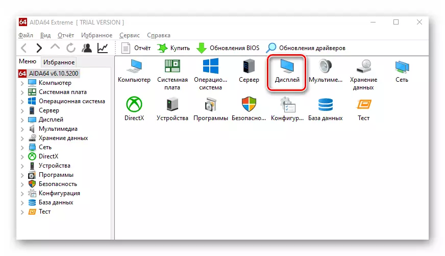Buka bagian tampilan di program AIDA64 pada Windows 10
