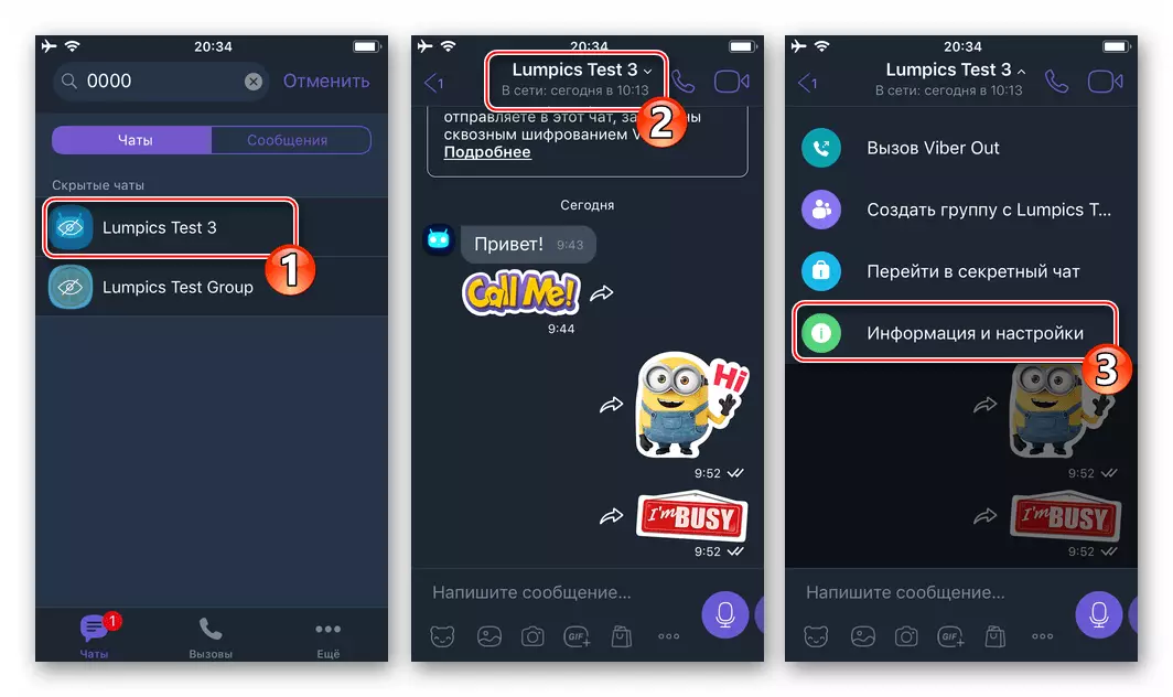 iOS အတွက် Viber သည် Hidden Chat သို့ကူးပြောင်းခြင်း, Panel Information နှင့် Settings သို့ခေါ်ဆိုပါ
