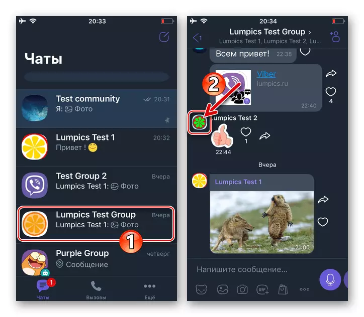 Viber pro přechod IOS na skupinový chat, volání obrazovky s informacemi o každém účastníku