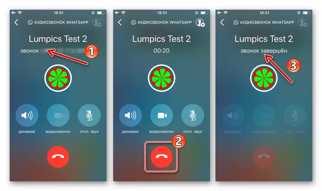 WhatsApp til iPhone Voice Call Process initieret fra Chat