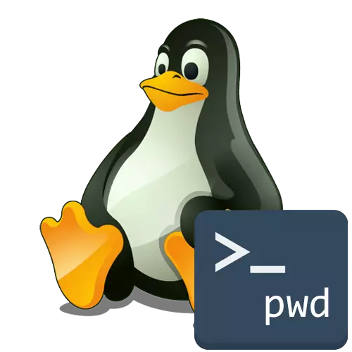 Linux دىكى pwd بۇيرۇقى