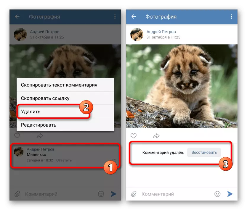 Elimina un commento per fotografia in Vkontakte Application