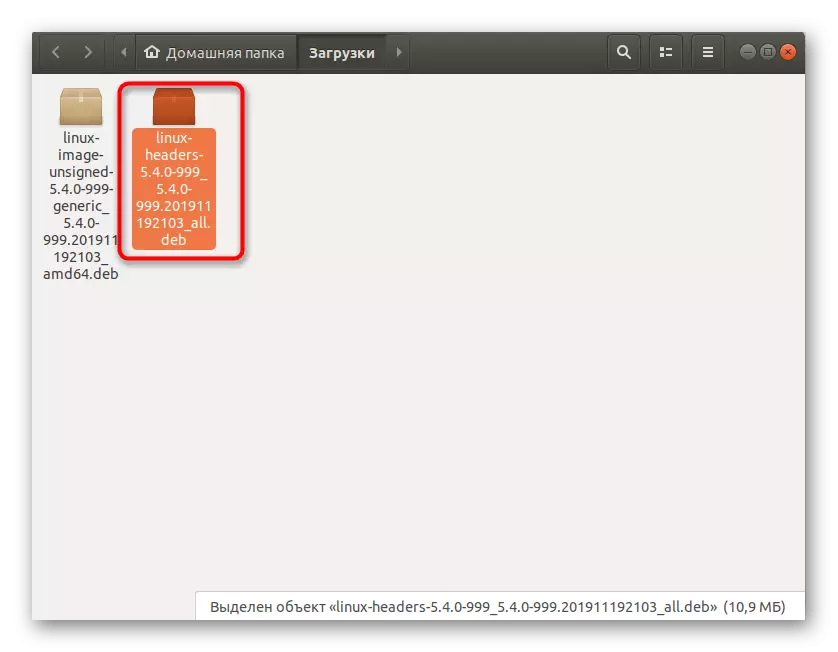Ubuntu-да орнатпас бұрын жүктелген файлдар туралы жүктеулерді қараңыз