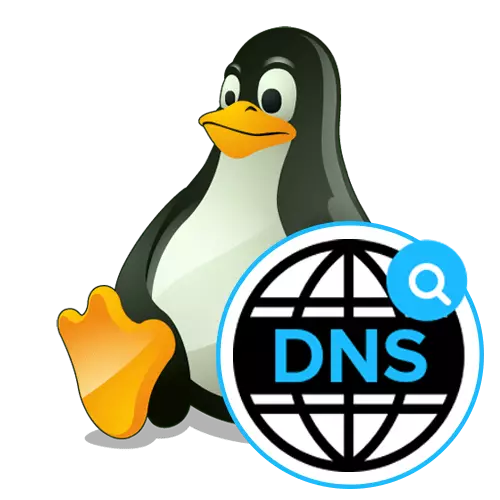 Linux- ում DNS տեղադրելը