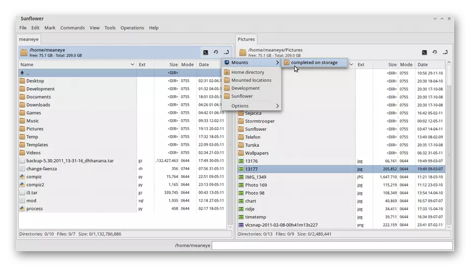 Зовнішній вигляд файлового менеджера Sunflower для дистрибутивів Linux