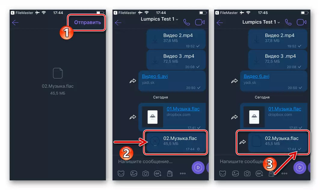 Viber voor iPhone-proces het verzenden van nummer van het FileMaster-applicatie-lid van de Messenger