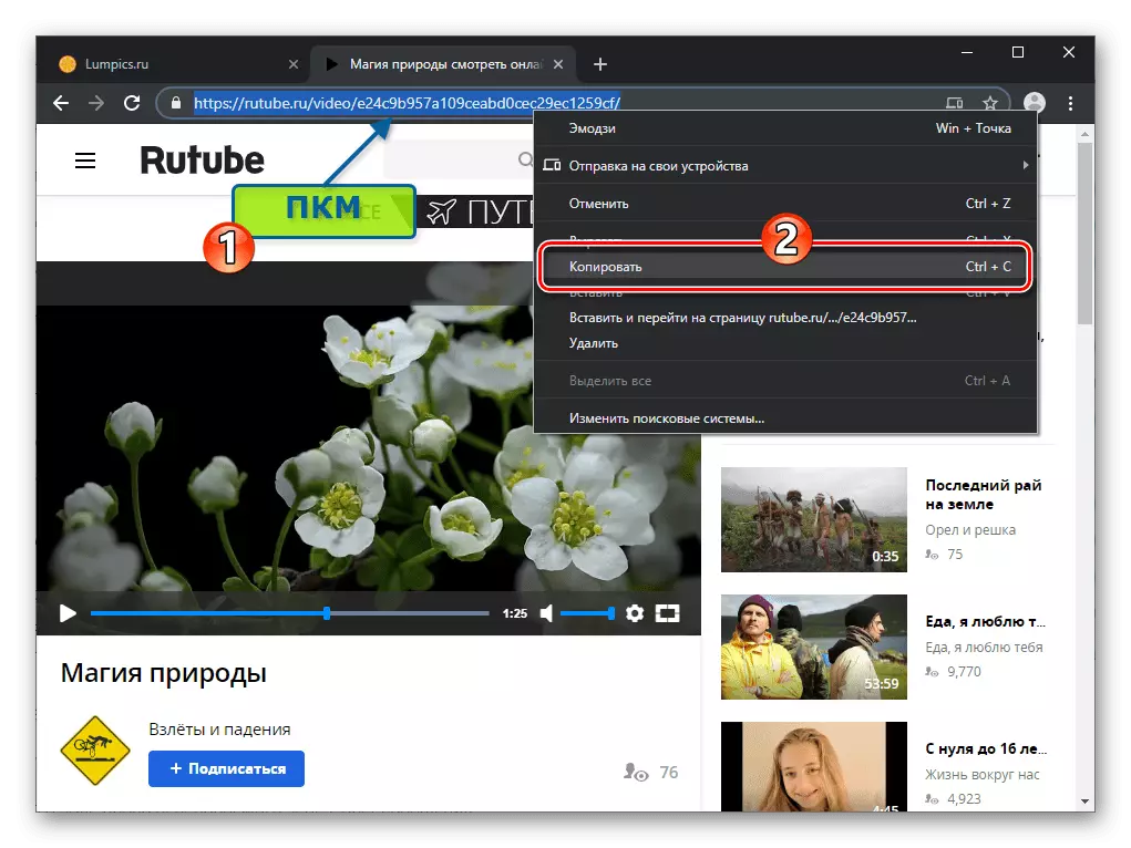 Viber för Windows Copy Link till webbsida med video