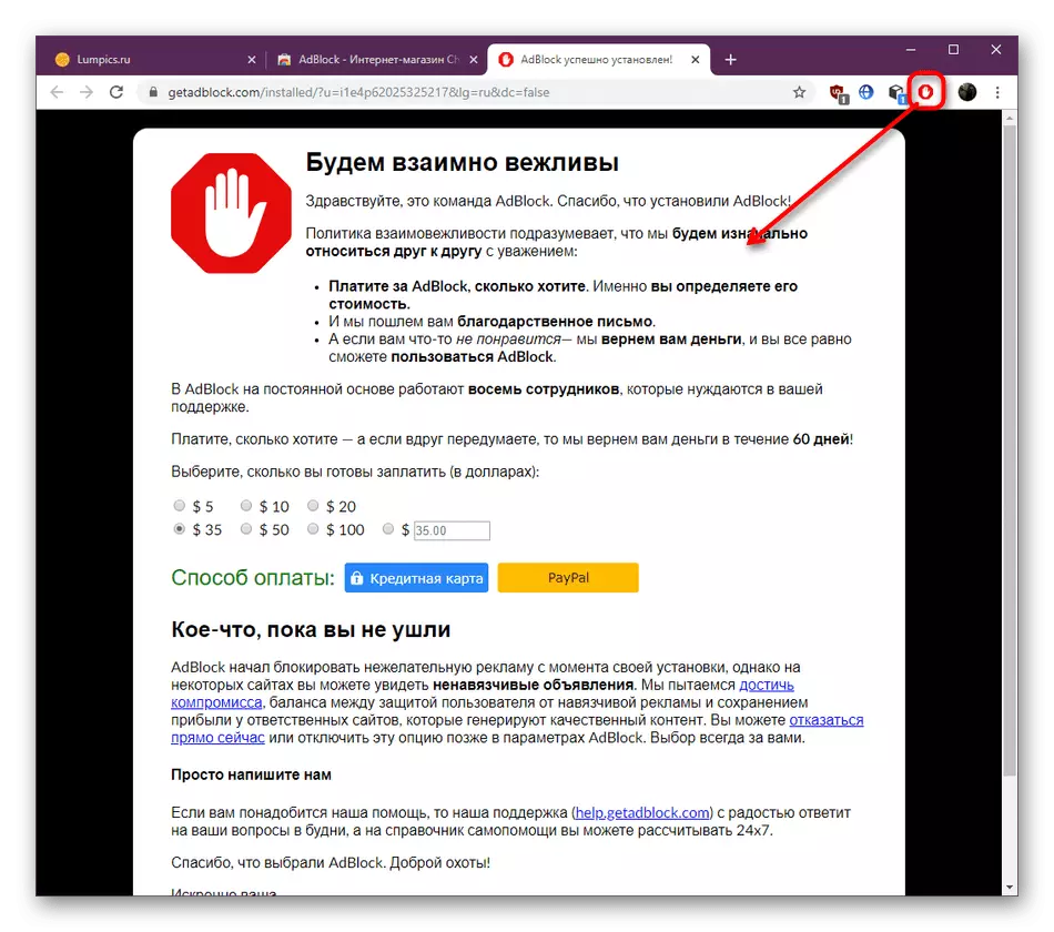 Informationen zum erfolgreichen Abschluss der Adblock-Erweiterungsanlage in Google Chrome