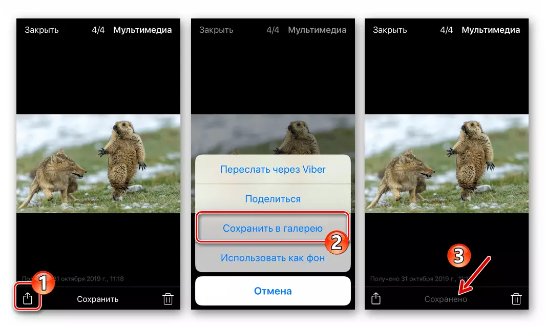 VIBER jaoks iPhone - kopeerida fotosid Messenger kaudu Share menüü
