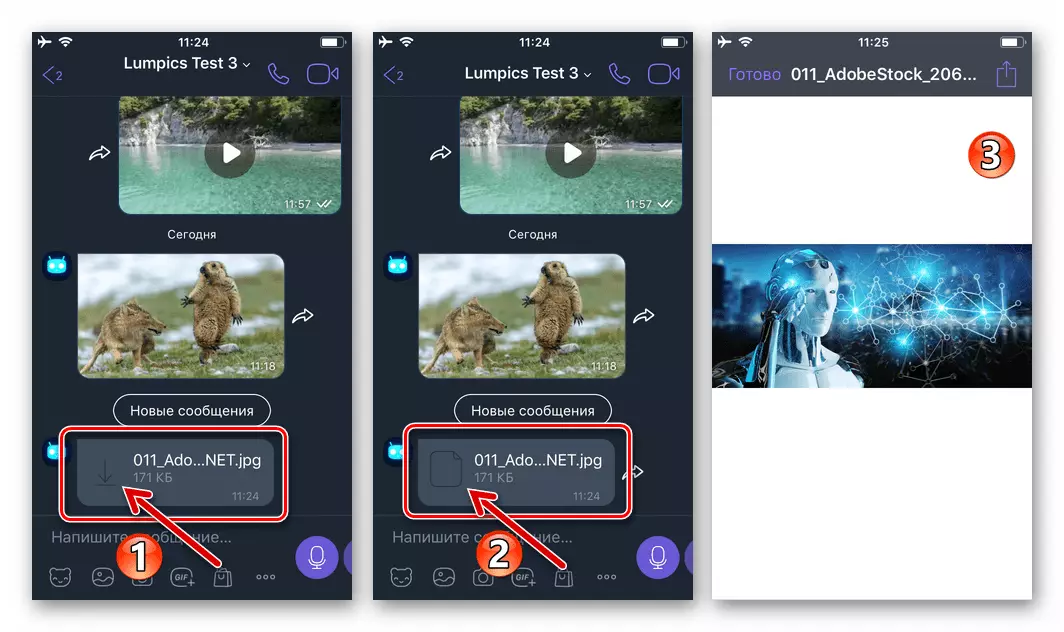 Viber Kanggo iPhone - Opening ing Foto Messenger dikirim minangka file