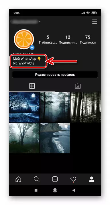 Instagram ఒక WatsApp సూచన సృష్టిస్తోంది మరియు సోషల్ నెట్వర్క్ ప్రొఫైల్ లో దాని ప్లేస్మెంట్ పూర్తి