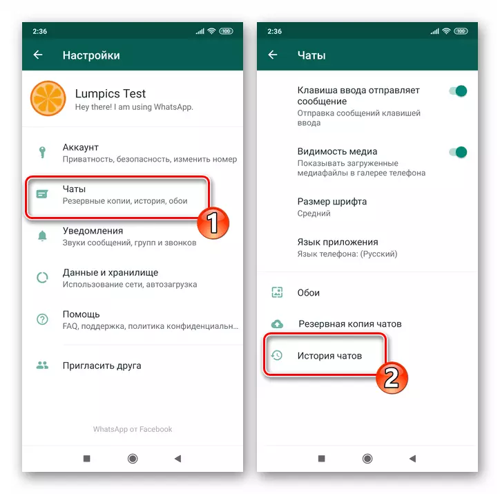 WhatsApp per Android Tinture - Chats - Chat History