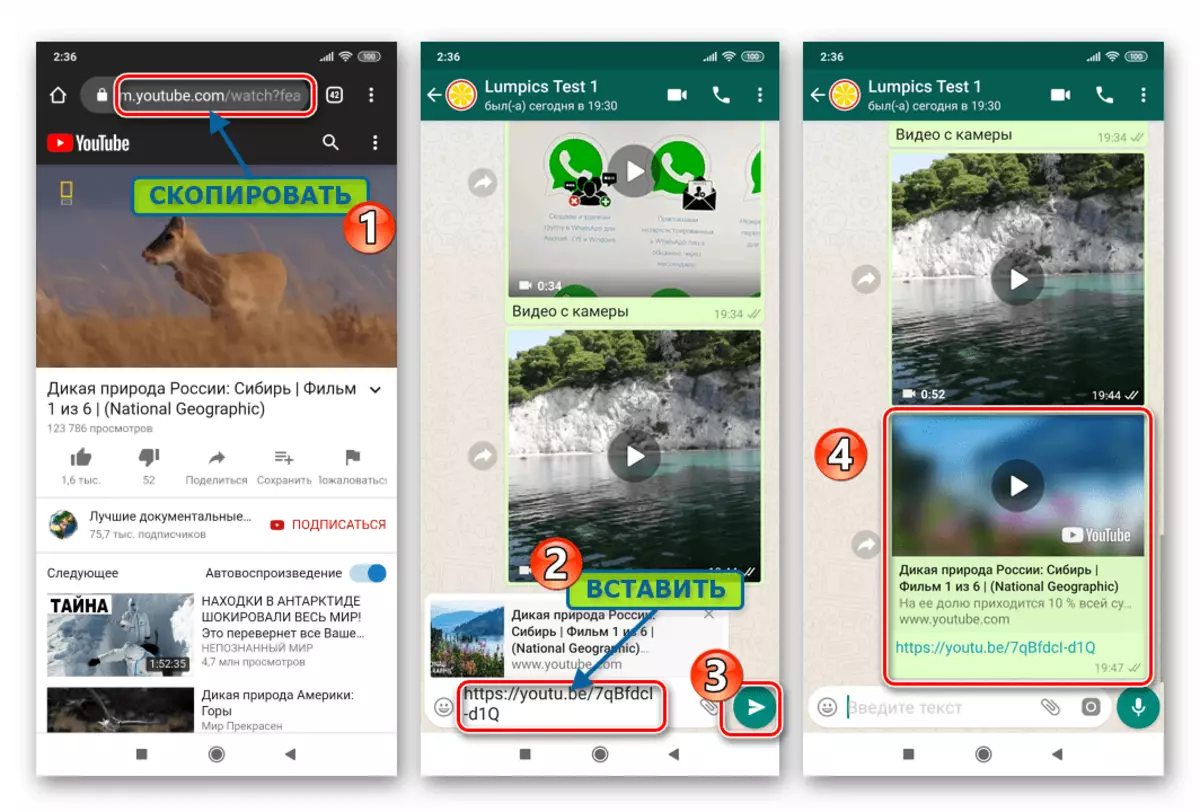 WhatsApp для Android капіраванне спасылкі на відэа з інтэрнэт-рэсурсу і яе устаўка ў паведамленне