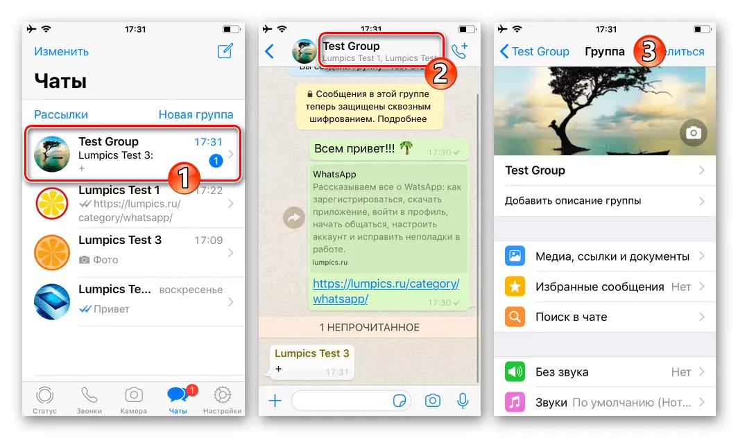 WhatsApp para a transición do iPhone a parámetros de chat en grupo