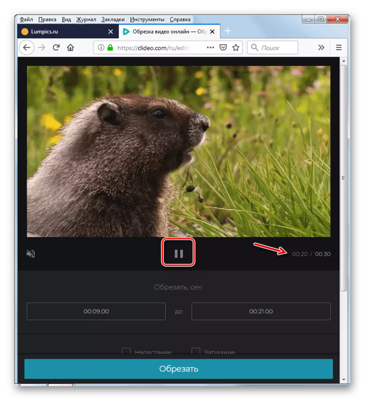 Stoppa videouppspelning på clideo-tjänsten i Mozilla Firefox-webbläsaren