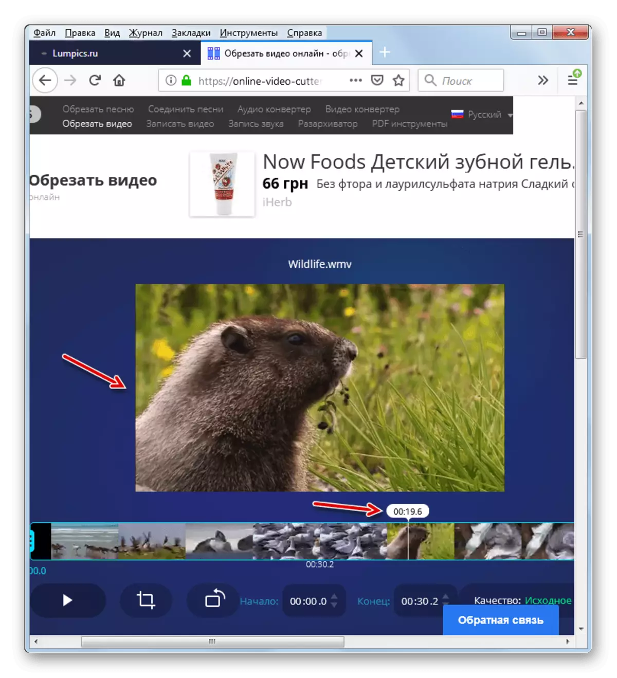La sélection d'un cadre pour les marqueurs de temps en ligne Video Cutter dans le navigateur Web Mozilla Firefox