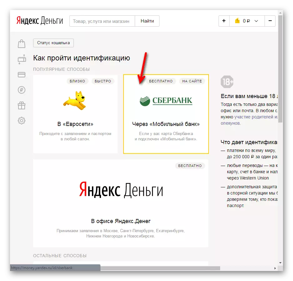 Identificatie-portemonnee in Yandex-geldsysteem