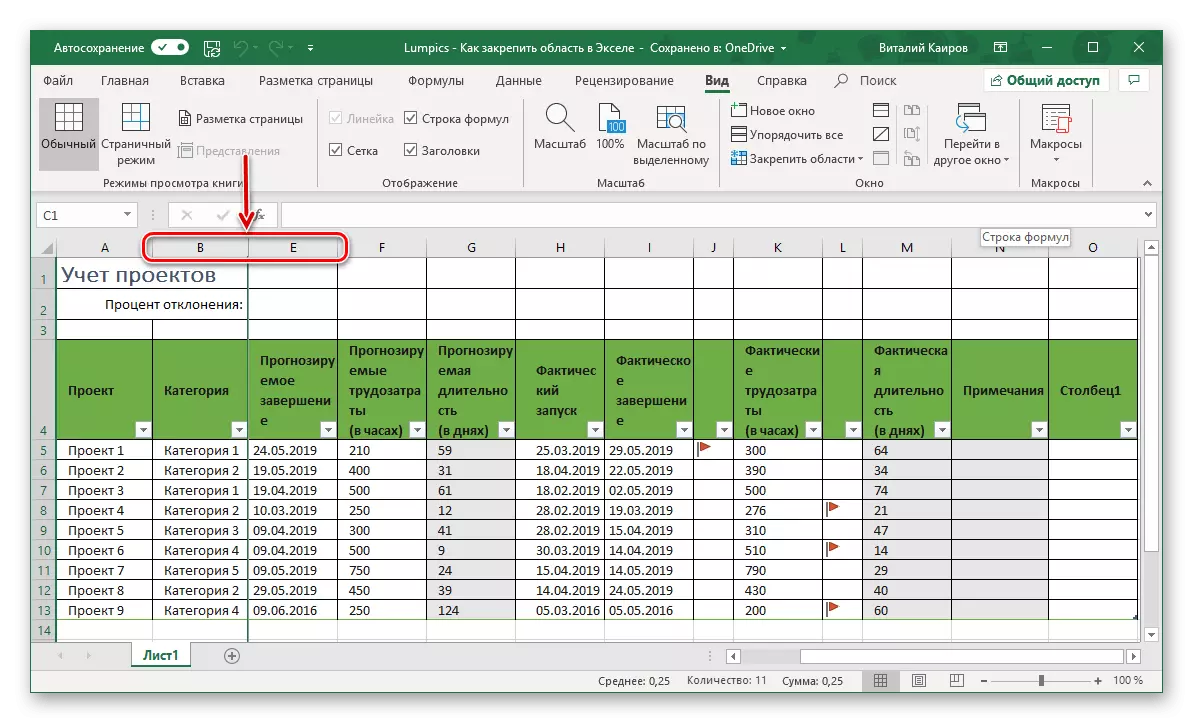 Microsoft Excel表中成功固定列的結果