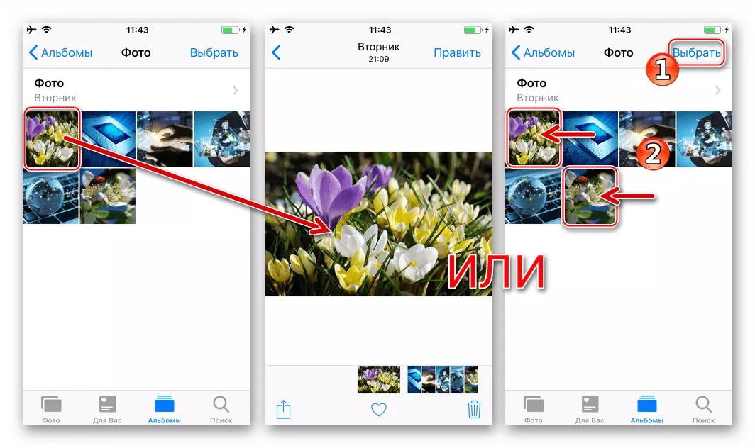 Viber for iPhone Messenger를 통해 보내기위한 사진 응용 프로그램에서 하나 이상의 이미지 선택