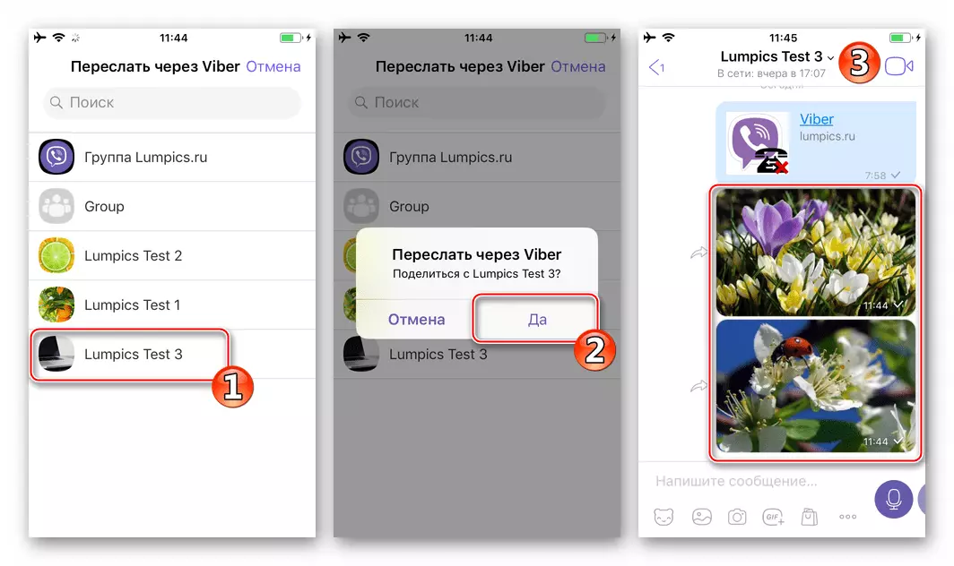 Viber за iPhone Изпращане на изображения от прилагането на снимка чрез пратеника на съществуващите разговори