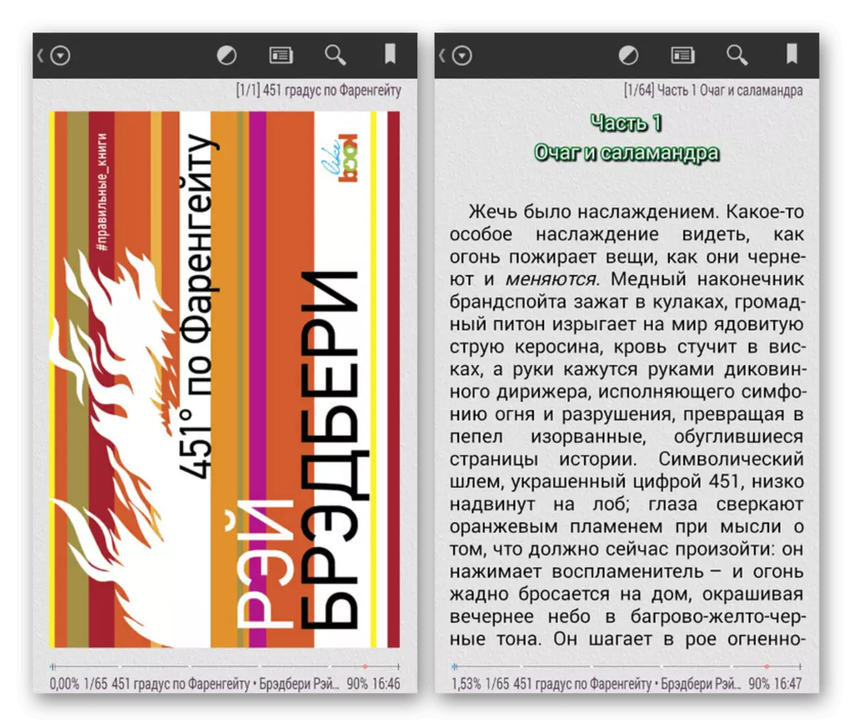 Eksempel på en bog i FB2-format på Android