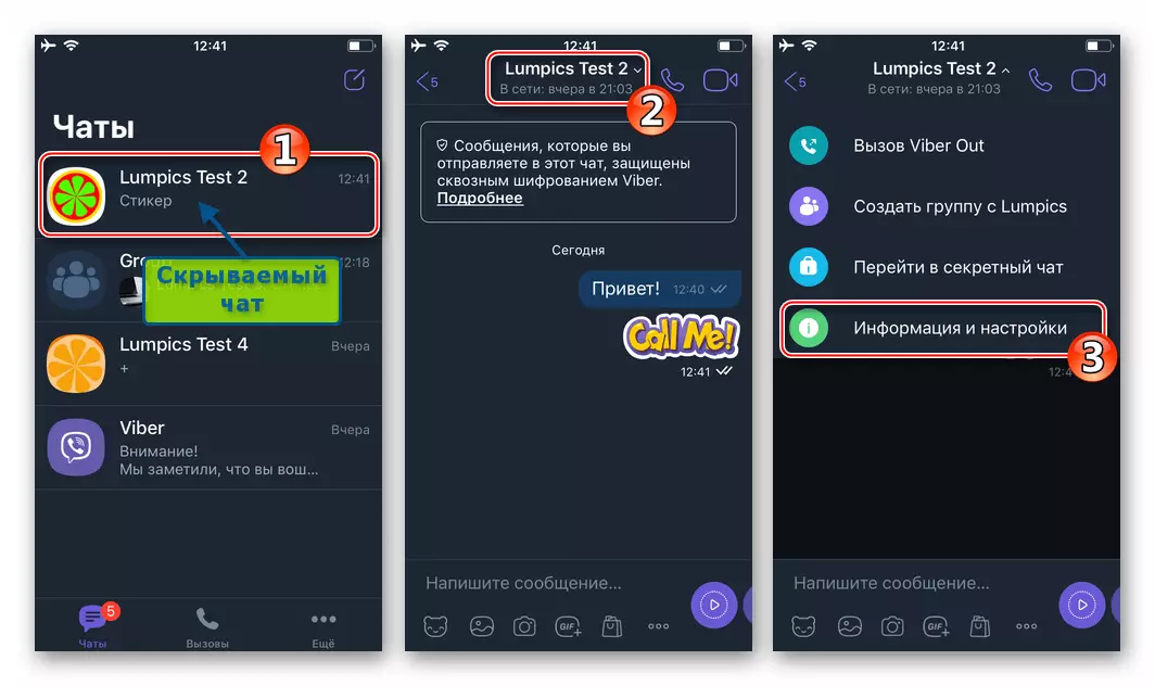 Viber für iPhone-Übergang zu Informationen und Einstellungen des versteckten Chats im Messenger