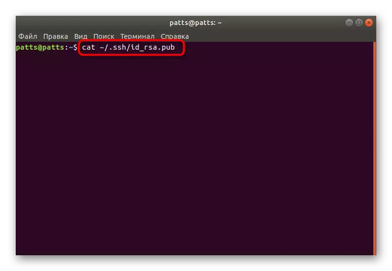 Visualizzare le informazioni chiave tramite il comando Cat in Ubuntu