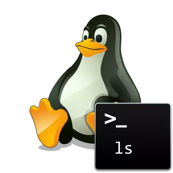 Contoh perintah LS di Linux