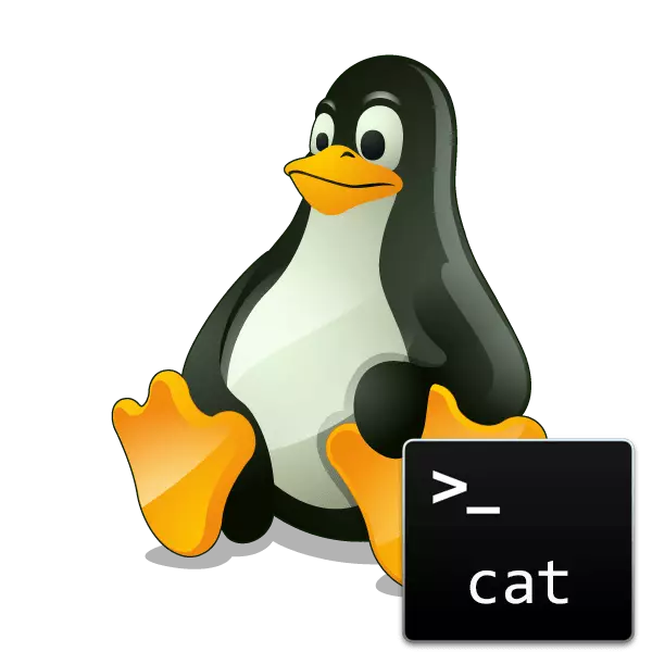 Kaķa komandas piemēri Linux