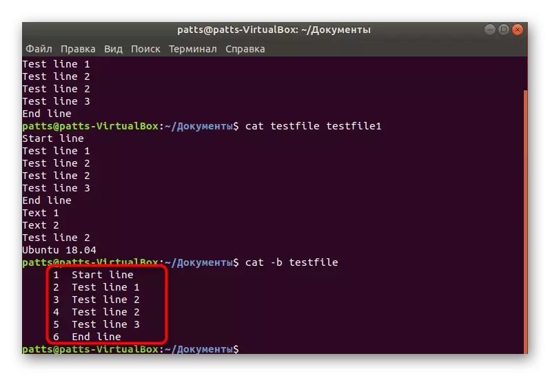 Visuaalne numeratsioon näide Linuxis kassi käsu kaudu
