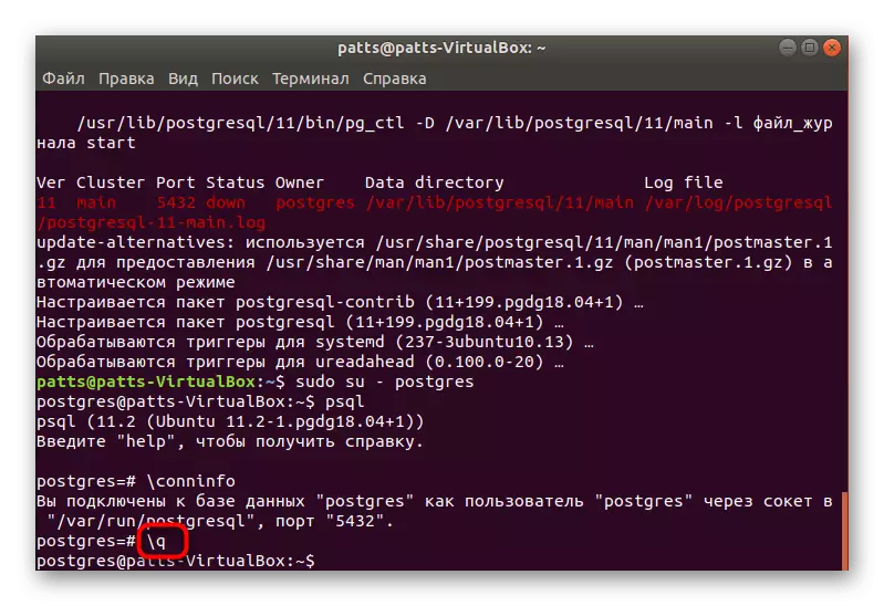 Ubuntu में PostgreSQL प्रबंधन कंसोल से आउटपुट