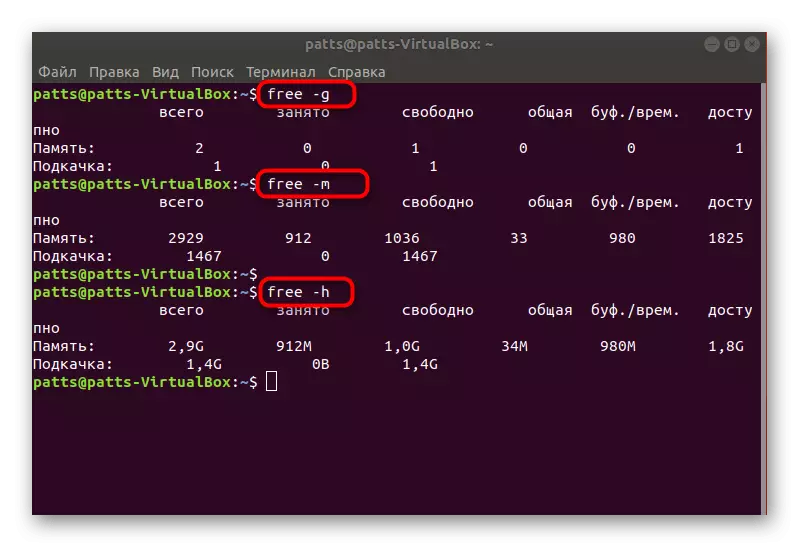 RAM informazioa Linux formatu desberdinetan