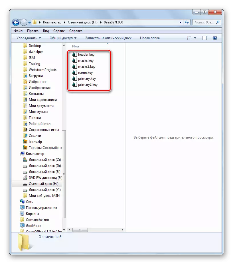 Filer med nøgleudvidelse i en mappe med et flashdrev i Explorer i Windows 7
