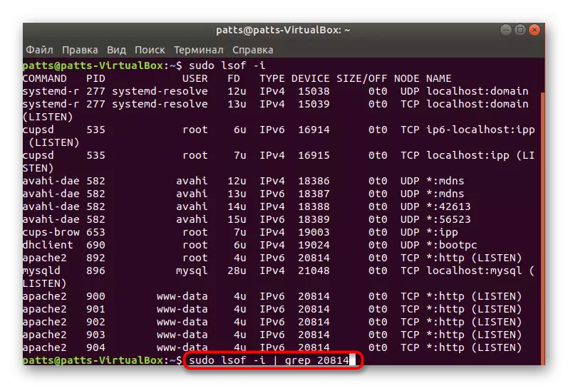 Ubuntu에서 선택적 스캔 LSOF